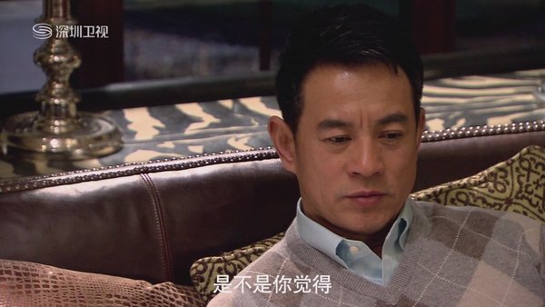 无懈可击之高手如林_无懈可击之高收入林