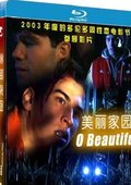 美丽家园(o beautiful 剧情简介 电影预告片 电影海报 电影