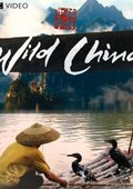 BBC：美丽中国