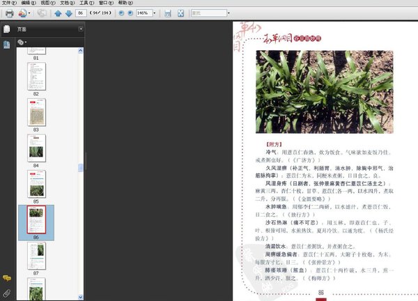 《本草纲目谷豆部妙用》扫描版[PDF]