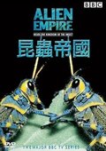 BBC：昆虫帝国