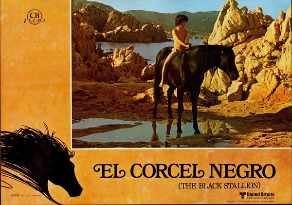 黑神驹(the black stallion) - 电影图片 | 电影剧照