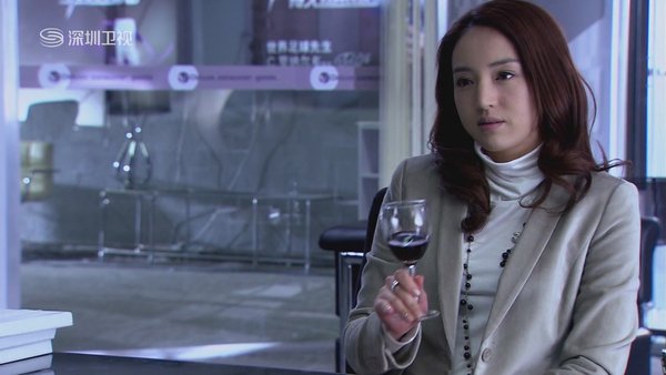 无懈可击之高手如林_无懈可击之高收入林(2)
