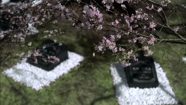 世界奇妙物语 2014年春之特别篇(世にも奇妙な