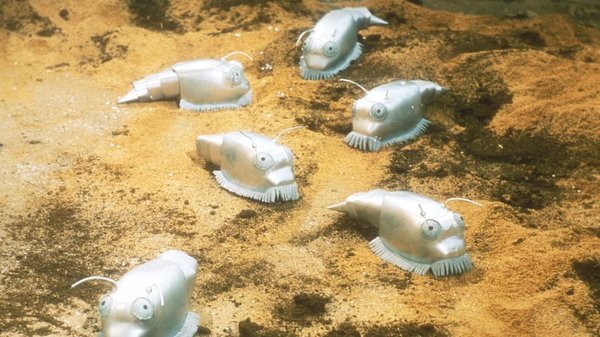 神秘博士 第六季(Doctor Who Season6) - 电视