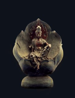 IPB Image