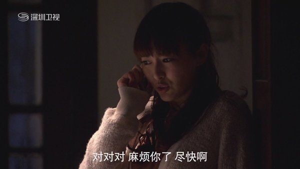 无懈可击之高手如林_无懈可击之高收入林(2)
