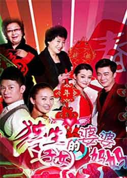 独生子女的婆婆妈妈 - 电视剧图片 | 电视剧剧照 | 高清海报 - verycd