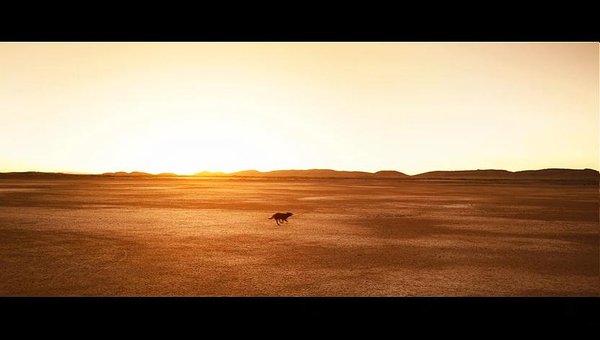 红犬历险记(red dog) - 电影图片 | 电影剧照 | 高清