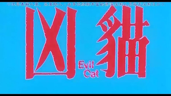 凶猫(evil cat 电影图片 电影剧照 高清海报 verycd电驴大全
