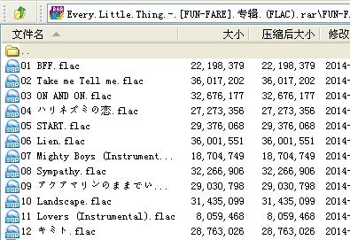 网友评论_Every Little Thing -《FUN-FARE》专