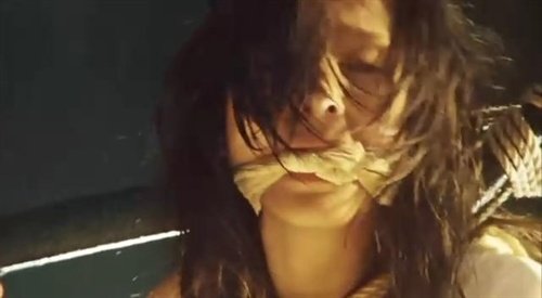 花与蛇(hana+to+hebi)