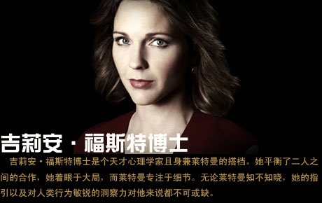 <em>别对我说谎</em> 第一季(<em>Lie to Me</em> Season 1) - 电视