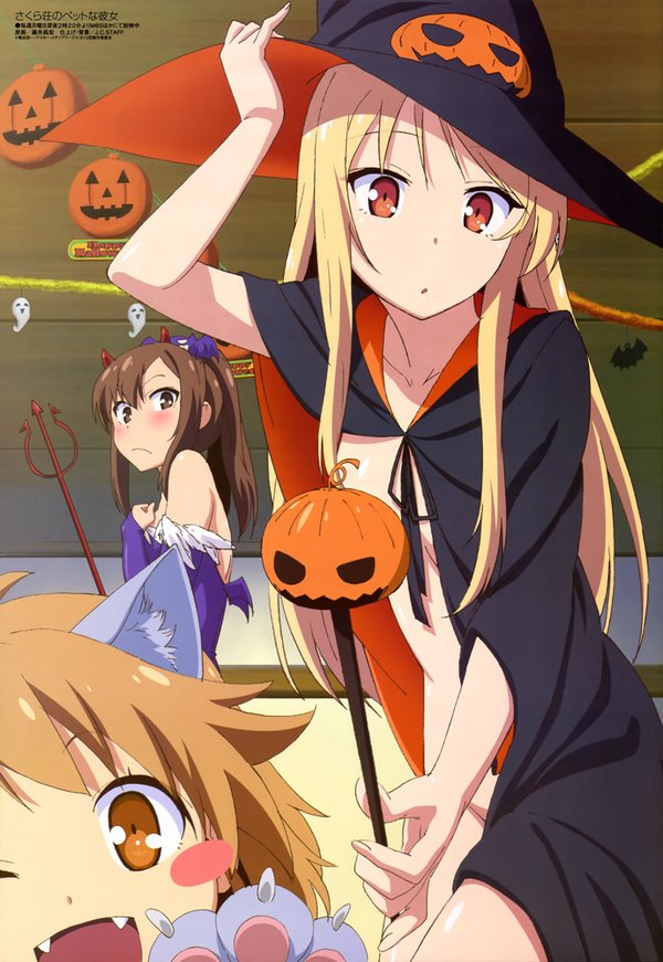 <em>樱花庄的宠物女孩</em>(sakura sou no pet na kanojo