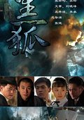 黑狐 海报