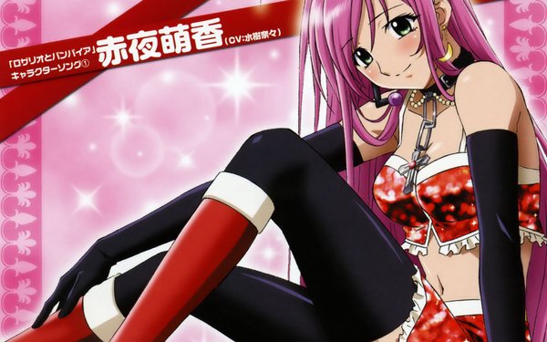 十字架与吸血鬼(rosario and vampire) - 动漫图片