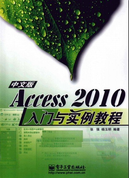 《Access2010中文版入门与实例教程》PDF图书免费下载