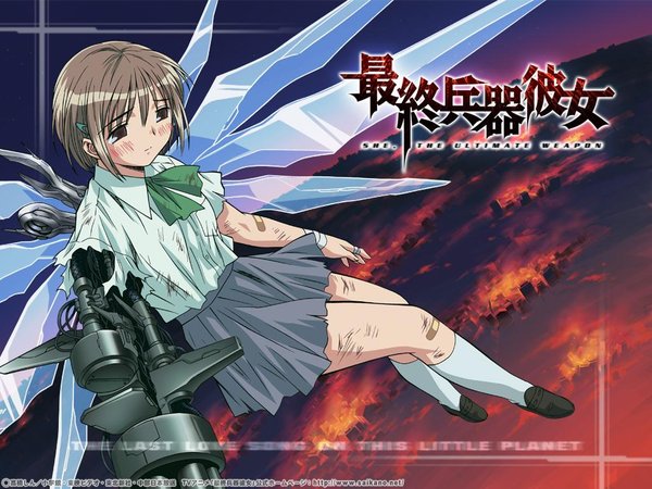 <em>最终兵器彼女</em>