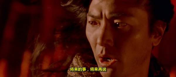 争议与好评交织