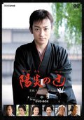 烈阳街头 海报