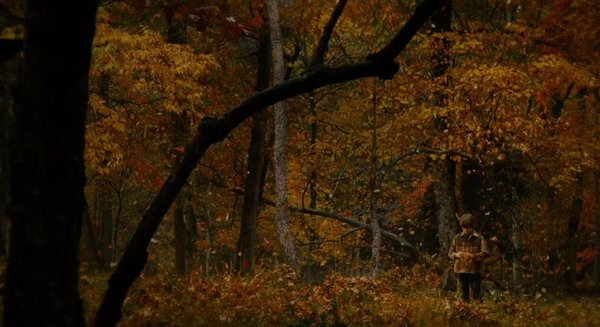 蒂莫西的奇异生活-世界上最丑陋的女人\/扎克瑞·戈登\/艾丽·范宁\/蒂莫西的奇异生活结局\/cj·亚当斯