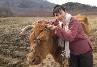 山里红 - 电视剧图片 | 电视剧剧照 | 高清海报