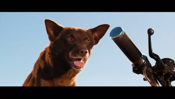 《红犬历险记》里的狗狗是什么品种哒?