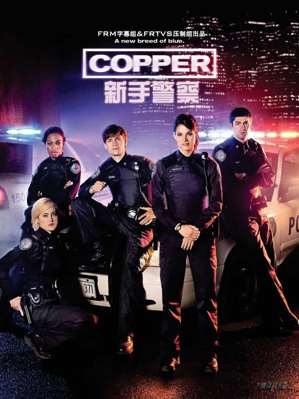 菜鸟警察 第一季(rookie blue season 1) - 电视剧