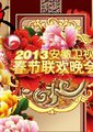 2013安徽卫视春节联欢晚会