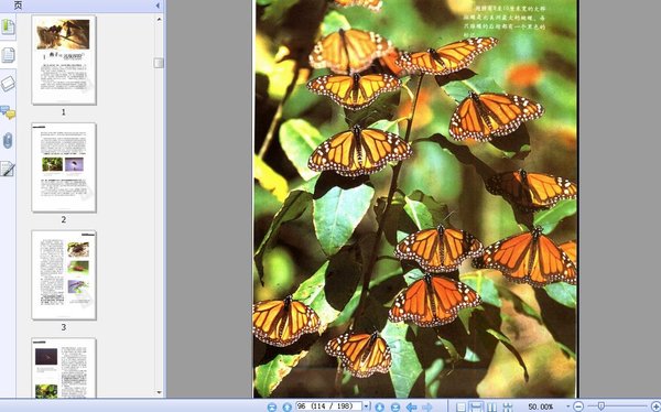《不可思议的旅程——六种动物的迁徙之路》高清扫描版[PDF]