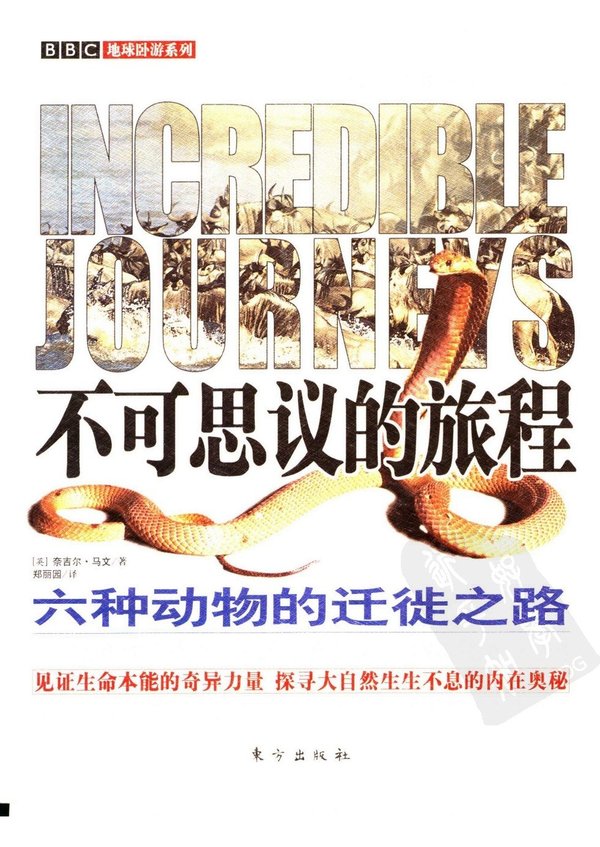 《不可思议的旅程——六种动物的迁徙之路》高清扫描版[PDF]