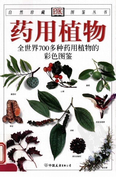 《药用植物：全世界700多种药用植物的彩色图鉴》全彩版[PDF]