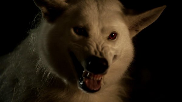 冰与火之歌:权力的游戏 第一季(Game of Thron