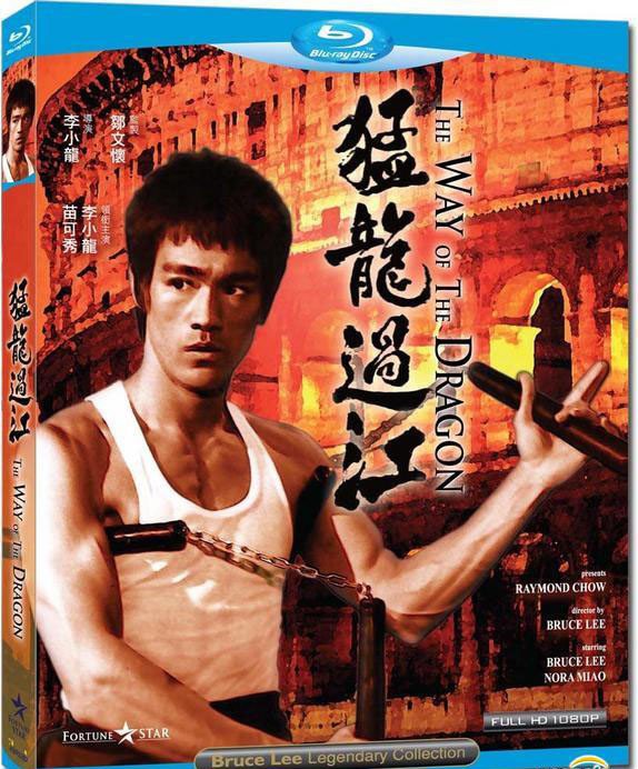 【猛龙过江电影完整版】视频 - 图片,介绍