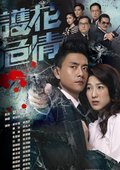 护花危情 海报