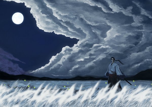 混沌武士