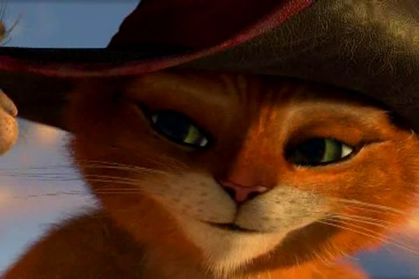 穿靴子的猫表情分享展示