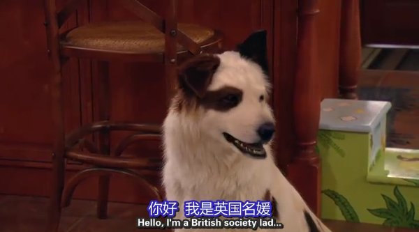 狗狗博客 第二季(dog with a blog season 2 电视剧图片 电视剧