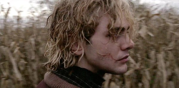 汤姆的农场旅行(Tom à la Ferme ) - 电影图片 