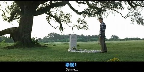 阿甘正传