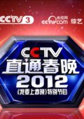 直通春晚 海报