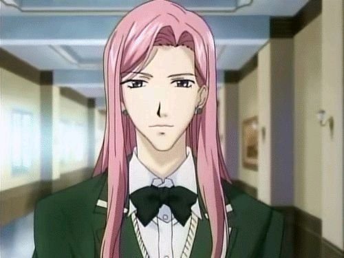 月桂树的王子们