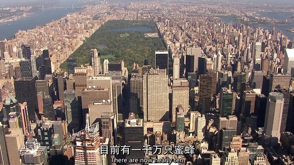 您的位置: 电驴大全 综艺 bbc:人类星球 图片 > 查看图片 关注更新