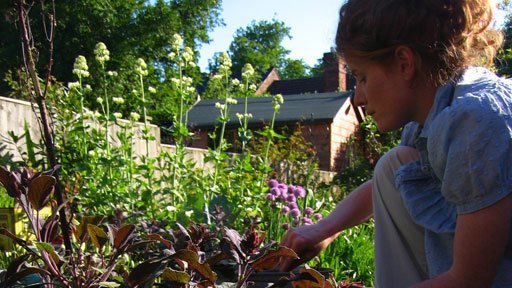 bbc:美味的花园(bbc the edible garden)