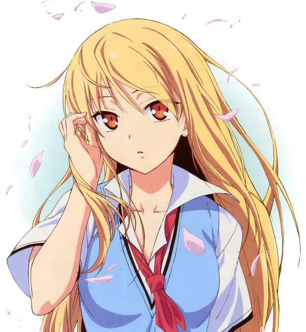<em>樱花</em>庄的<em>宠物女孩</em>(<em>sakura</em> sou no pet na kanojo