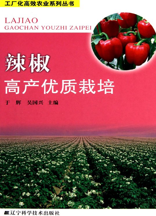 IPB Image