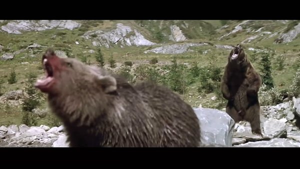 类似子熊故事的电影图片_类似子熊故事的电影