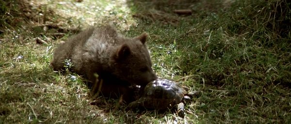 子熊故事拍摄花絮图片_子熊故事拍摄花絮(4)_