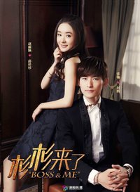 杉杉来了电视剧什么时候上映_杉杉来了电视剧_杉杉来