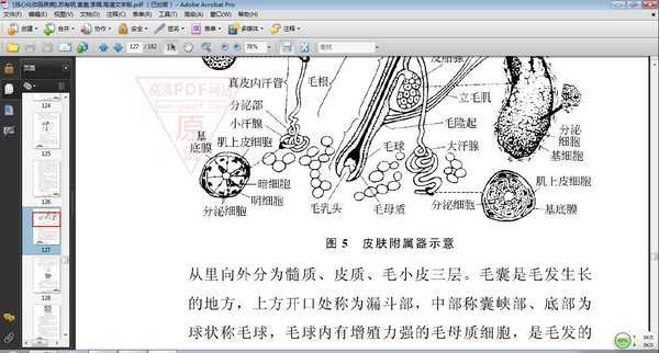 《当心化妆品疾病》高清文字版[PDF]
